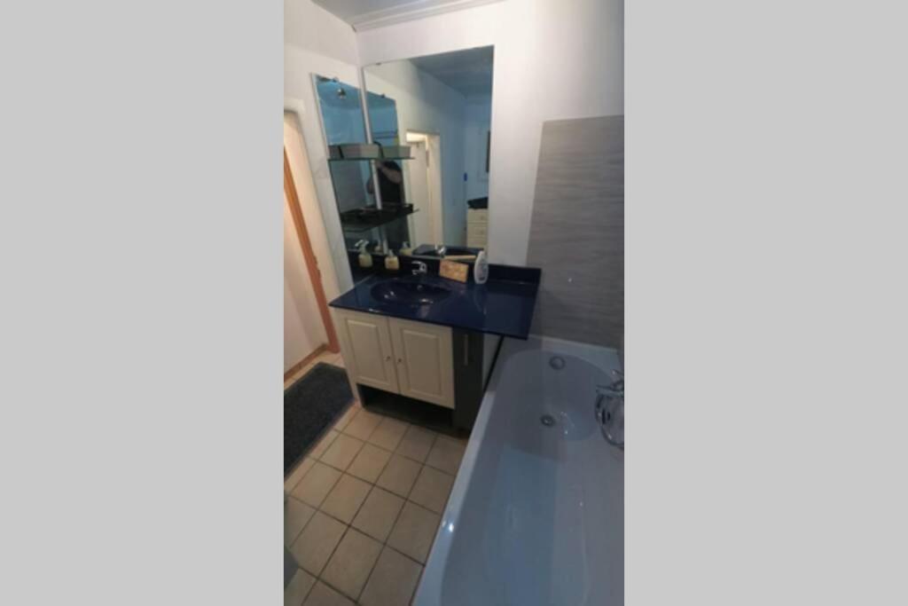 Sympathique Maison Sarreguemines Ngoại thất bức ảnh
