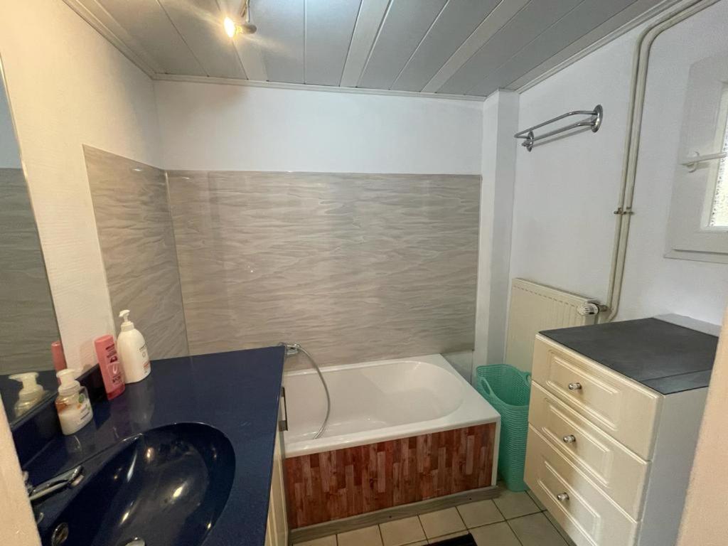 Sympathique Maison Sarreguemines Ngoại thất bức ảnh